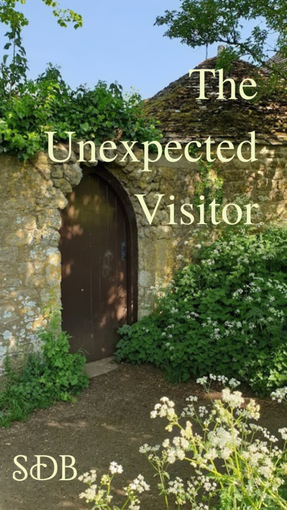 A wooden gate in a stone wall with the book title - The Unexpected Visitor